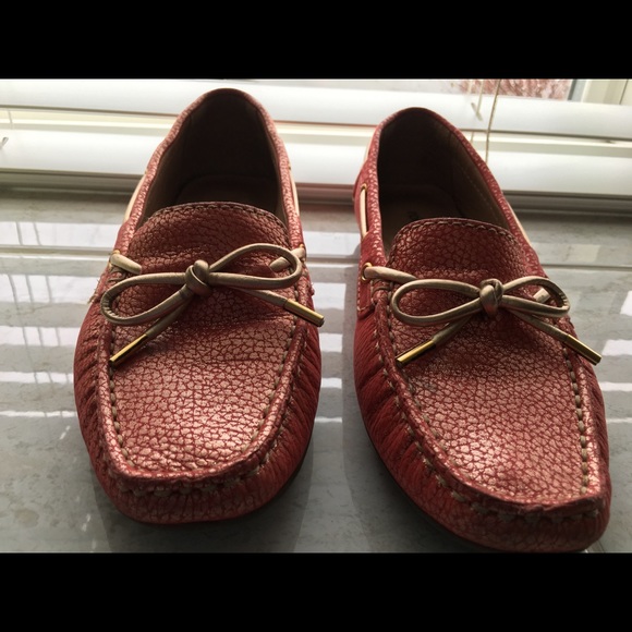 Shows - Picture 4 of 8